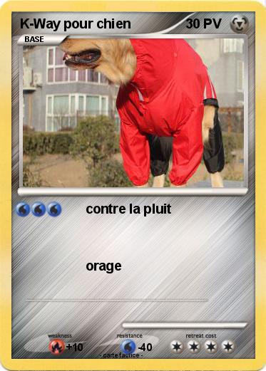 Pokemon K-Way pour chien
