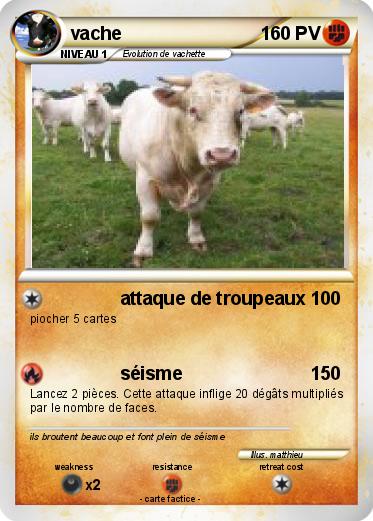 Pokemon vache