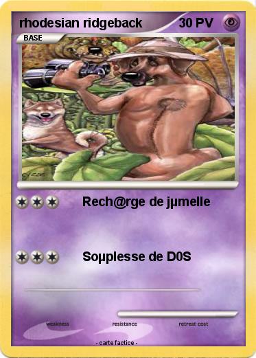 Pokemon rhodesian ridgeback