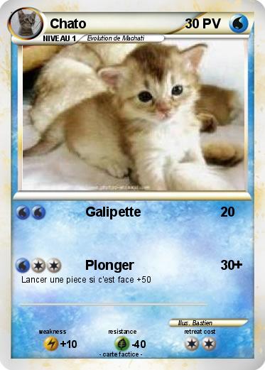 Pokemon Chato