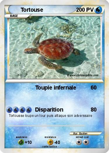 Pokemon Tortouse