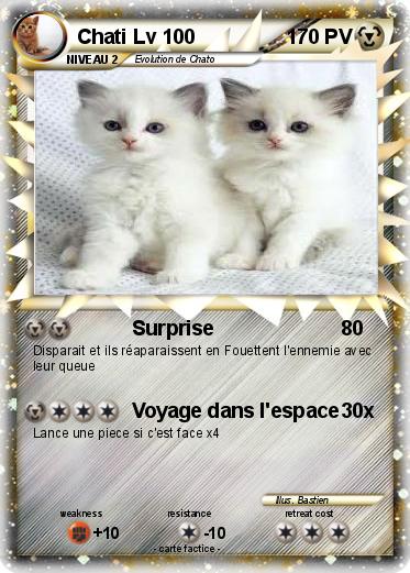 Pokemon Chati Lv 100