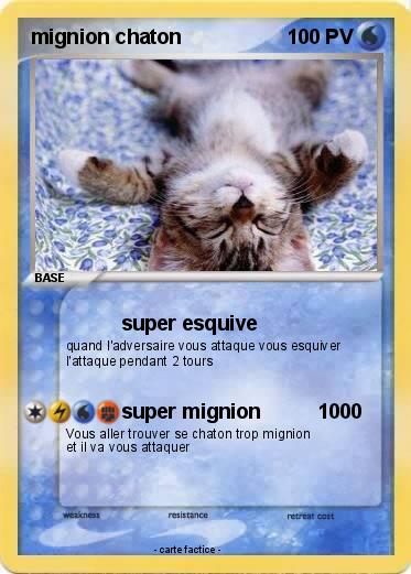 Pokemon mignion chaton