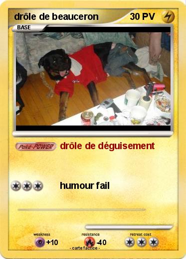 Pokemon drôle de beauceron
