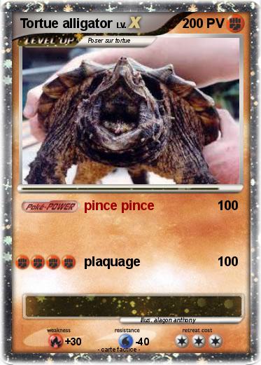 Pokemon Tortue alligator