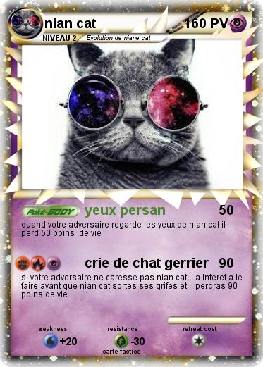 Pokemon nian cat