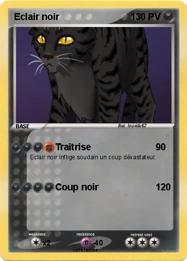 Pokemon Eclair noir