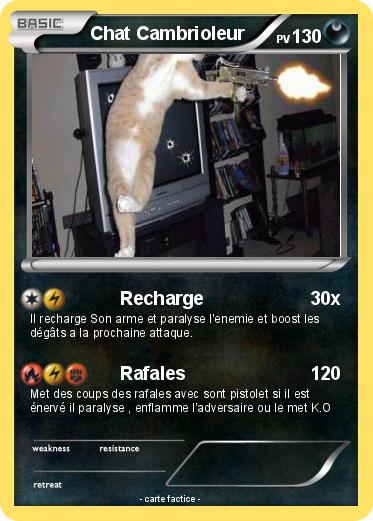 Pokemon Chat Cambrioleur