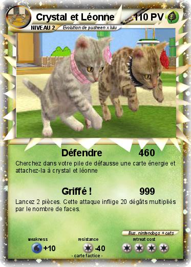 Pokemon Crystal et Léonne
