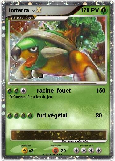 Pokemon torterra