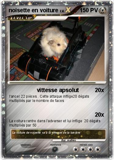 Pokemon noisette en voiture