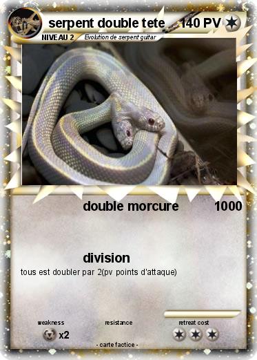 Pokemon serpent double tete