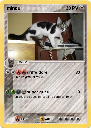 Pokemon minou