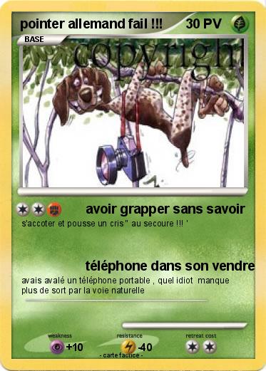 Pokemon pointer allemand fail !!!