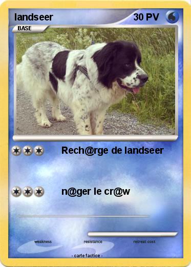 Pokemon landseer