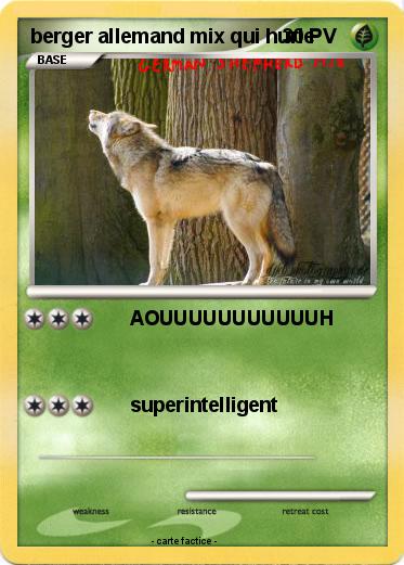 Pokemon berger allemand mix qui hurle