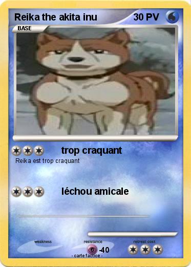 Pokemon Reika the akita inu
