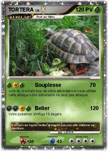 Pokemon TORTERA