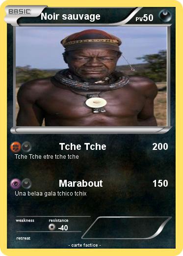 Pokemon Noir sauvage