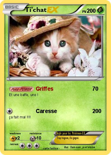Pokemon Ti'chat