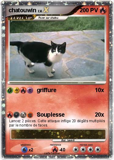 Pokemon chatouwin