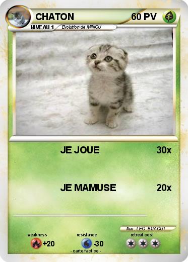 Pokemon CHATON