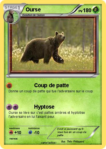 Pokemon Ourse
