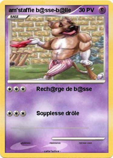 Pokemon am'staffie b@sse-b@lle