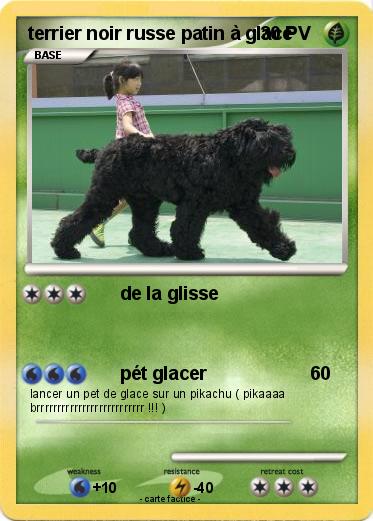 Pokemon terrier noir russe patin à glace