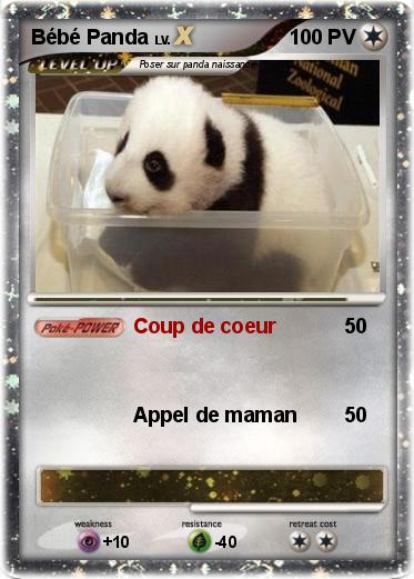 Pokemon Bébé Panda