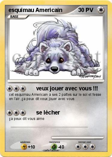 Pokemon esquimau Americain