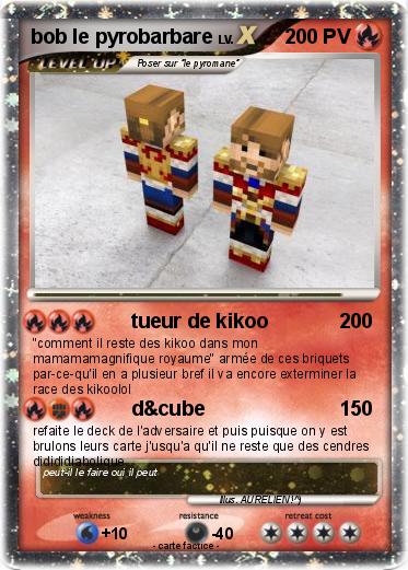Pokemon bob le pyrobarbare
