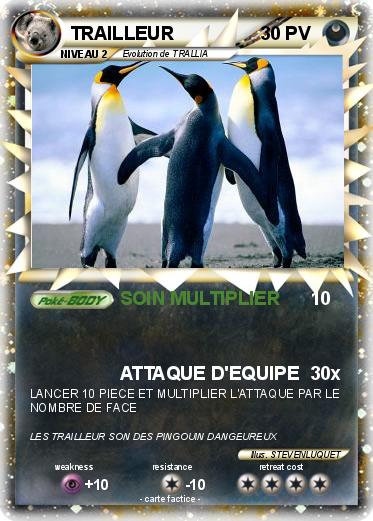 Pokemon TRAILLEUR