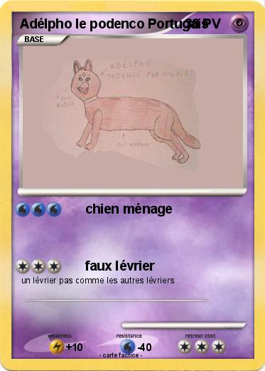 Pokemon Adélpho le podenco Portugais
