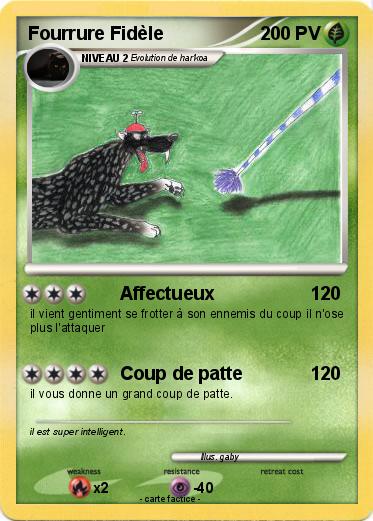 Pokemon Fourrure Fidèle