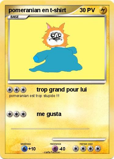Pokemon pomeranian en t-shirt