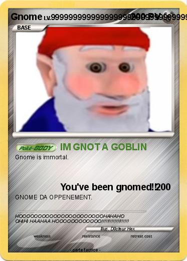 Pokemon Gnome