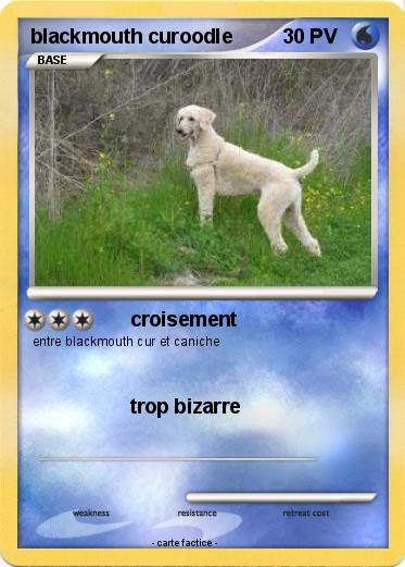 Pokemon blackmouth curoodle