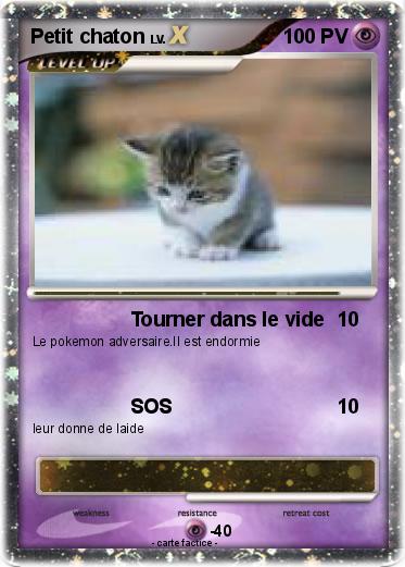 Pokemon Petit chaton