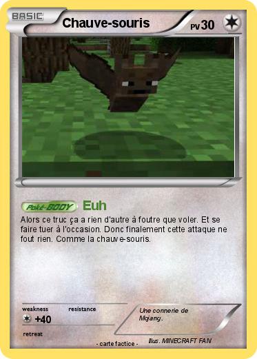 Pokemon Chauve-souris