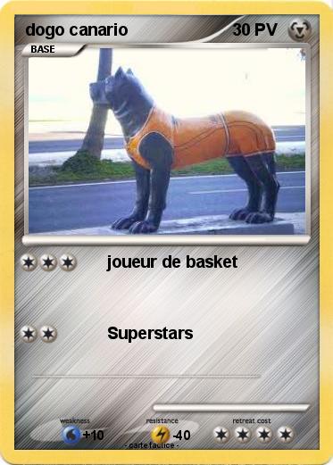 Pokemon dogo canario