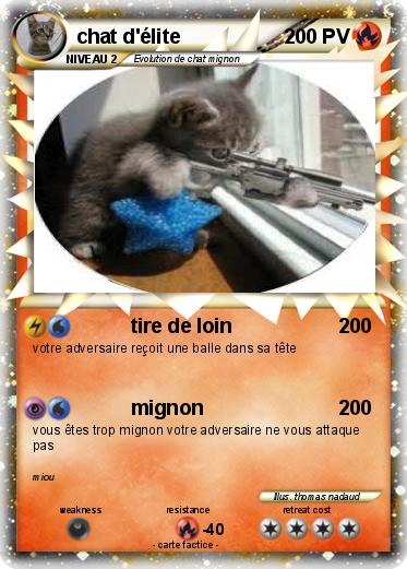 Pokemon chat d'élite