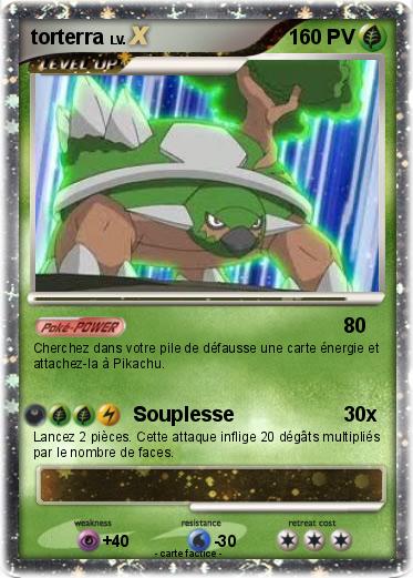 Pokemon torterra