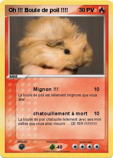 Pokemon Oh !!! Boule de poil !!!!