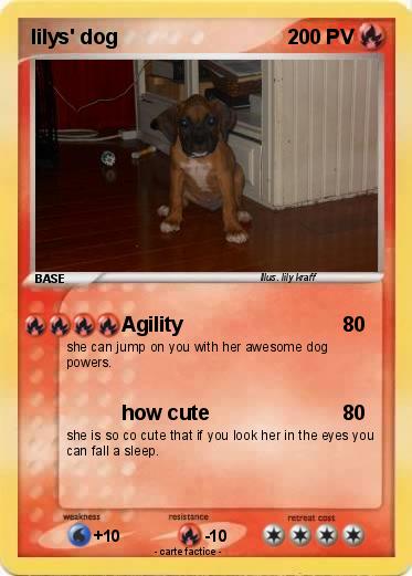Pokemon lilys' dog