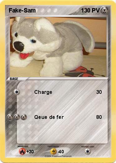 Pokemon Fake-Sam