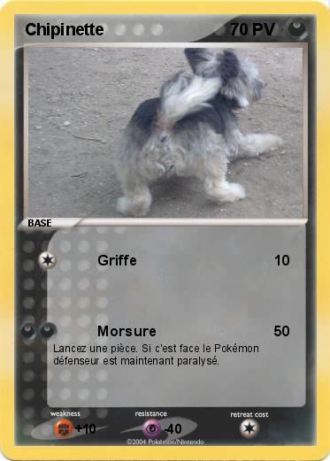 Pokemon Chipinette