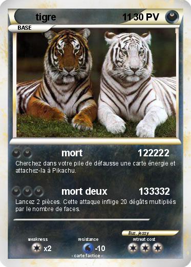 Pokemon tigre                         11