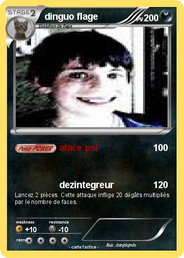 Pokemon dinguo flage