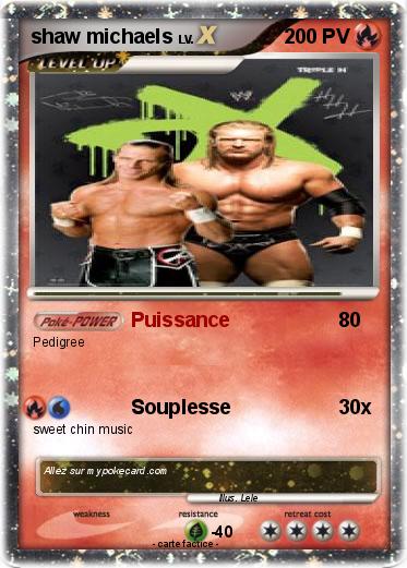 Pokemon shaw michaels